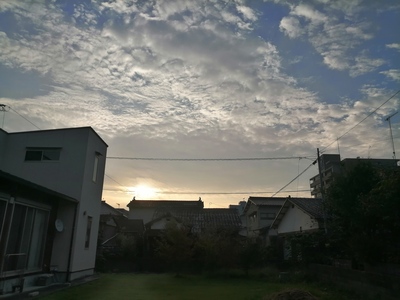 IMG_20190930_065925.jpg