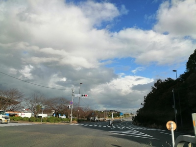 IMG_20191025_153841.jpg