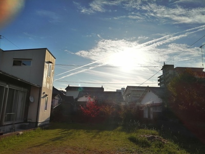 IMG_20191031_075910.jpg