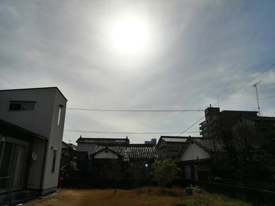 IMG_20200329_085748.jpg