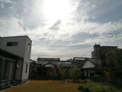 IMG_20200407_085804.jpg