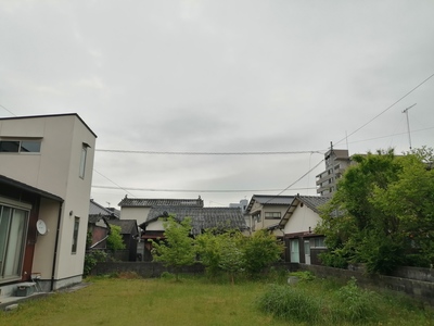 IMG_20200506_081040.jpg
