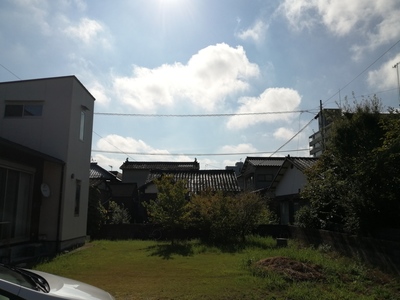 IMG_20200830_084517.jpg