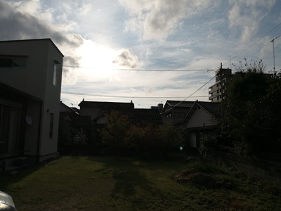 IMG_20200923_073347.jpg