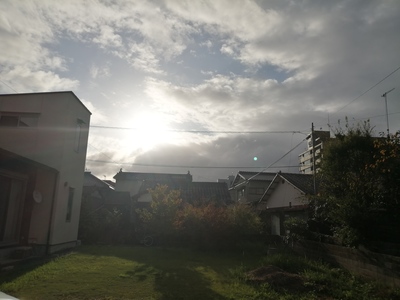 IMG_20200927_072404.jpg