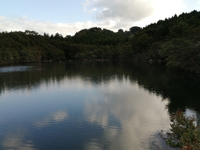 IMG_20200927_154703.jpg