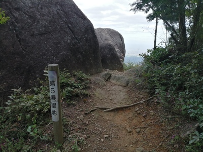IMG_20200927_155440.jpg
