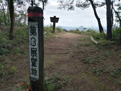 IMG_20200927_160129.jpg