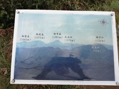 IMG_20200927_160514.jpg