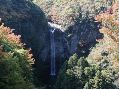 IMG_20201103_122409.jpg