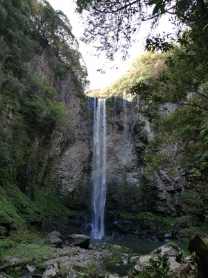 IMG_20201103_124730.jpg