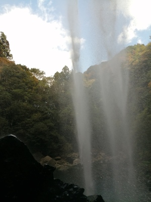 IMG_20201103_125527.jpg