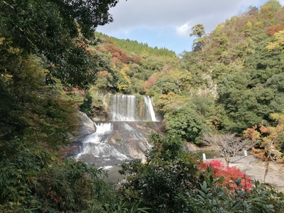 IMG_20201103_135248.jpg