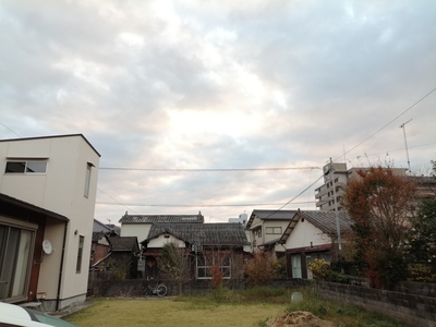 IMG_20201122_071954.jpg