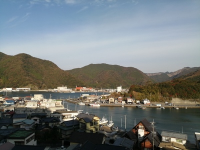 IMG_20201213_090716.jpg
