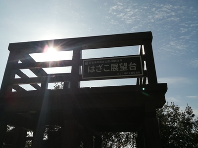 IMG_20201213_104917.jpg