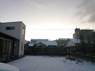 IMG_20201231_070201.jpg