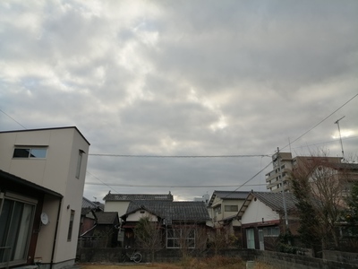 IMG_20210106_083154.jpg