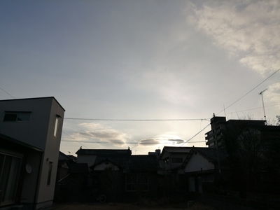 IMG_20210118_081431.jpg