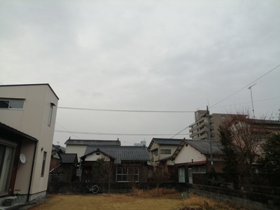IMG_20210126_074726.jpg