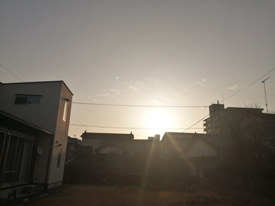 IMG_20210202_081128.jpg
