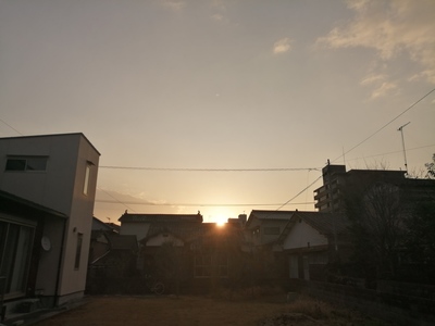 IMG_20210204_074603.jpg