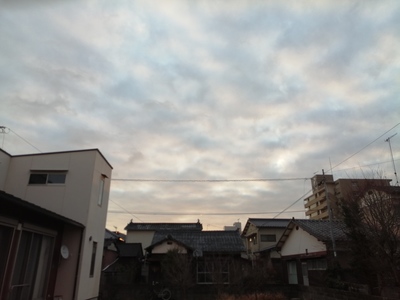 IMG_20210206_073240.jpg