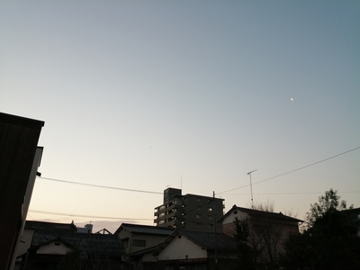IMG_20210207_070018.jpg