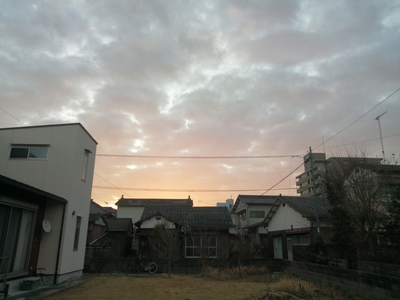IMG_20210214_070913.jpg